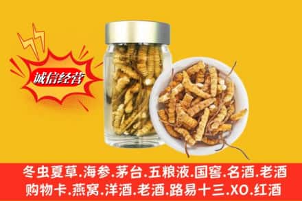 纳雍县回收散虫草