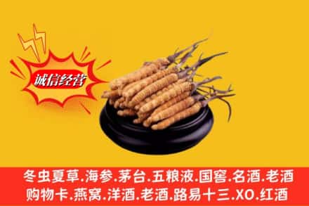 纳雍县求购回收虫草多少钱每克
